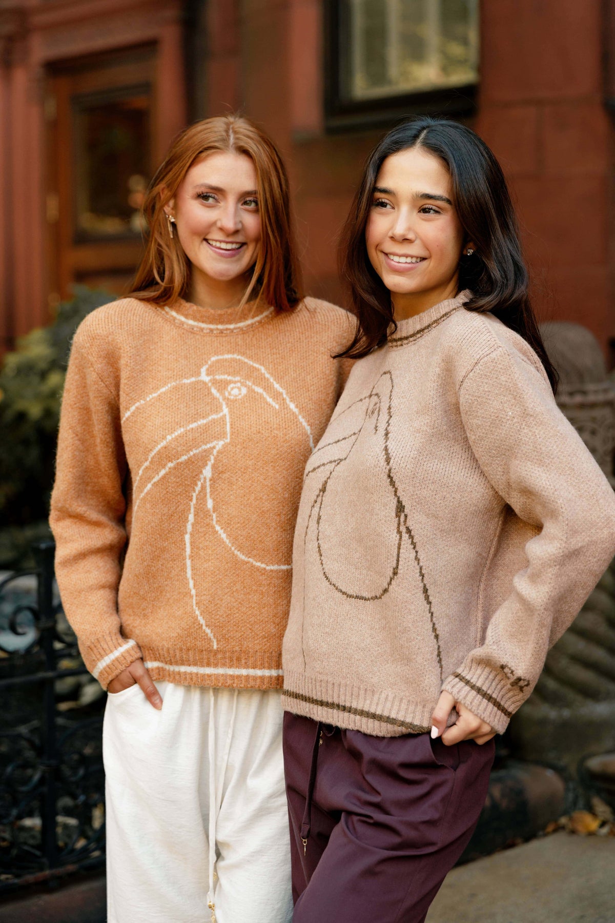 Talia Oversized Toucan Knit Sweater